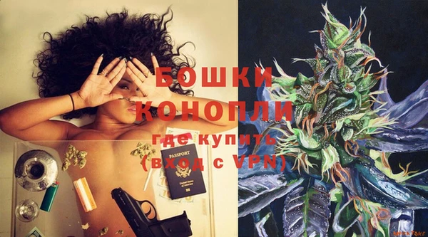 ГАЛЛЮЦИНОГЕННЫЕ ГРИБЫ Лихославль